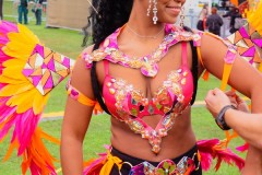 IMG_0079