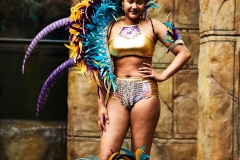 Carnival Costumes Tropical World May 2017 #187