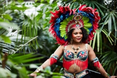 Carnival Costumes Tropical World May 2017 #203