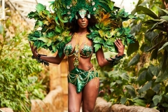 Carnival Costumes Tropical World May 2017 #79
