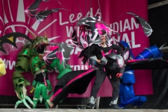 Carnival in the Park 2014