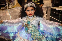 LWIC Royalty Show 2025 Tes McFly