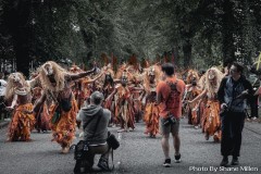 IMG_20230829_081120_598